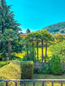 a garden with palm trees and a fence at Casa Tranquilla in Cannobio