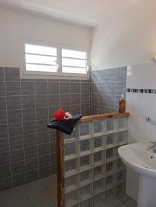 a bathroom with a sink and a toilet and a window at Villa Loma in Sainte-Rose
