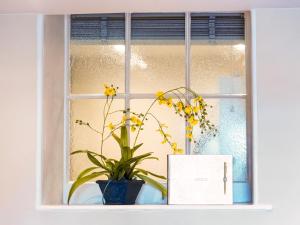 een raam met een plant in een blauwe vaas bij Hollyhock in Tavistock