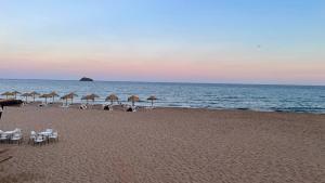 Naturlandskabet i nærheden af lejligheden