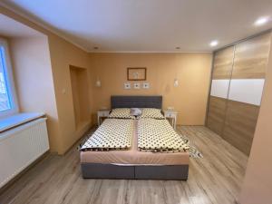 a bedroom with a bed in a room at Apartmán u Kuľky in Spišské Bystré