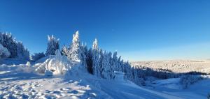 Haus Schneider v zimě + 7 fotografií