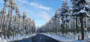 Haus Schneider v zimě