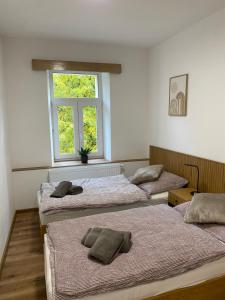 3 camas en una habitación con ventana en Apartmány Mikulov 45, en Mikulov v Krušných Horách