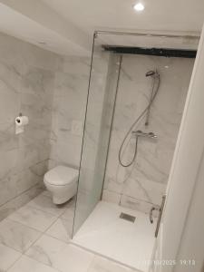 ein Badezimmer mit Dusche und Toilette in der Unterkunft Studio à Eckbolsheim proche CV et marché de Noël de Strasbourg in Eckbolsheim