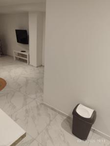 ein Wohnzimmer mit Mülleimer und Fernseher in der Unterkunft Studio à Eckbolsheim proche CV et marché de Noël de Strasbourg in Eckbolsheim