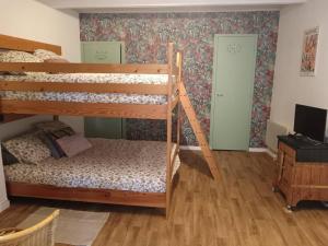 a bedroom with two bunk beds and a television at Chambre privée chez l'habitant, Les Maisons de Gaia in Tuchan