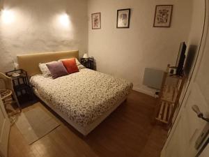 a bedroom with a bed and a television in it at Chambre privée chez l'habitant, Les Maisons de Gaia in Tuchan