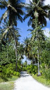 Příroda nedaleko penzionu