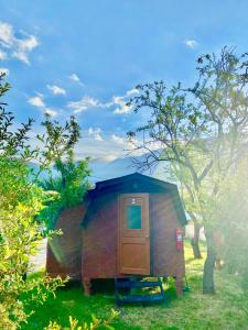 a small house with a door in the grass at Cabañas del Maipo in Peumos