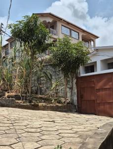 a house with a garage and trees in front of it at Palm and Pillow in Freetown