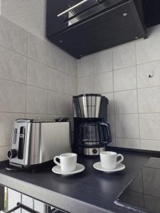 Kuchyň nebo kuchyňský kout v ubytování Stylische Flat mit franzsischem Balkon + 8 fotografií