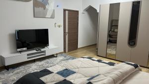 a living room with a tv and a bed at المسارات الدولية in Mawāliḩ