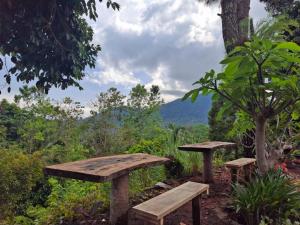 a picnic table and benches with a view of the mountains at Hillside guest house and restaurant in Gitgit