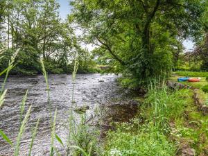 a river with a boat on the side of it at Mountain View in Llawhaden +31 photos