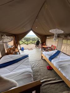 Postel nebo postele na pokoji v ubytování Sunset Camp -Masai Mara National Reserse