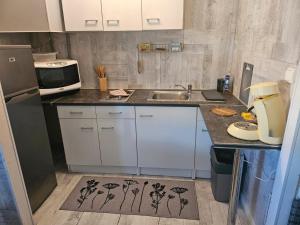 Il comprend une petite cuisine avec un évier et un comptoir. dans l'établissement PALMA II, à Port-la-Nouvelle