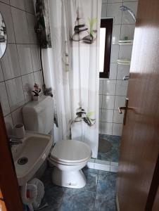 a small bathroom with a toilet and a sink at Studio Apartman Ivan in Otočac