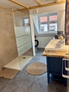 a bathroom with a shower and a sink at Le Nid de Schatzi in Haguenau