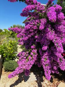 Φωτογραφία από το άλμπουμ του Villa Rocky Beach σε Razanac