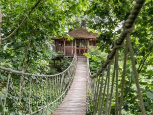a suspension bridge in the forest with a building in the background at Bensfield Treehouse in Wadhurst +15 photos