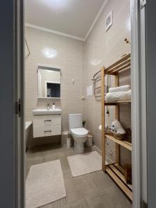 a bathroom with a toilet and a sink at Квартира в центре города in Astana