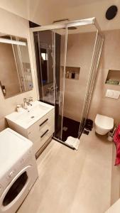 Ένα μπάνιο στο Dragon Apartment Split-staré mesto Varoš +10 φωτογραφίες