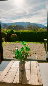 a potted plant sitting on a table in front of a window at Chalet de détente in Métabief