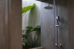 een badkamer met een douche en een plant. bij Tibah in Tanah Lot