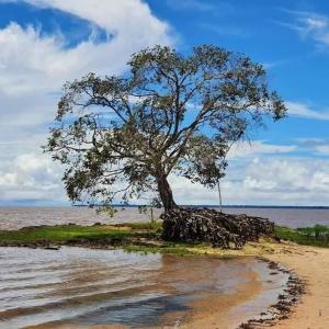 Příroda nedaleko penzionu