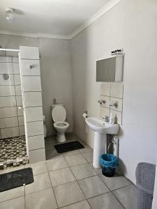a bathroom with a toilet and a sink at Lalapanzi Accommodation in Vosburg