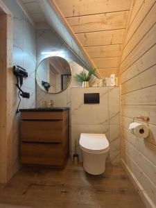a bathroom with a toilet and a mirror at Domek z Sercem in Pieniążkowice +43 photos