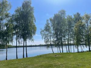 a group of trees on a hill next to a lake at B&B De Zandput in Balen