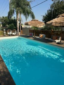 een zwembad met blauw water en rieten parasols bij גארדן בוטיק צימר בכפר in Mishmar Hashiv‘ah