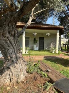 een boom voor een huis bij גארדן בוטיק צימר בכפר in Mishmar Hashiv‘ah