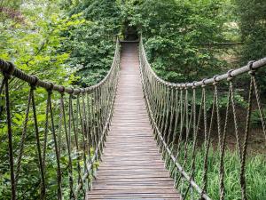 a suspension bridge in the middle of a forest at Bensfield Treehouse in Wadhurst