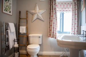 baño con aseo y lavabo y una estrella en la pared en Grantham Arms, en Boroughbridge
