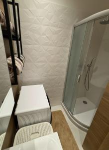 a bathroom with a shower and a toilet and a sink at Samaya Apartment in Litoměřice +11 photos