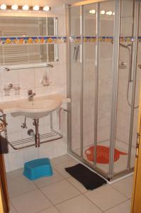ein Bad mit einer Dusche und einem Waschbecken in der Unterkunft Bergdohle in Adelboden