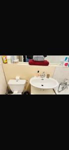 een badkamer met een wit toilet en een wastafel bij Suite vue sur la Tour Eiffel in Courbevoie