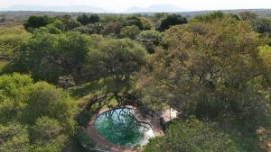 an overhead view of a forest with a pool of water at Kruger Park Farmstay near Orpen Gate in Hoedspruit
