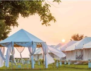 Fotografie z fotogalerie ubytování Tiger Echo Resort v destinaci Jāmb