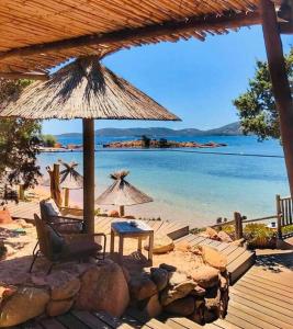 Fotografie z fotogalerie ubytování Villa les Palmiers pool spa view of Bavella v destinaci Sainte-Lucie de Porto-Vecchio