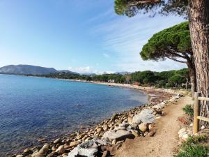Fotografie z fotogalerie ubytování Villa les Palmiers pool spa view of Bavella v destinaci Sainte-Lucie de Porto-Vecchio + 35 fotografií