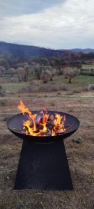 Φωτογραφία από το άλμπουμ του Terras do Salvado Agroturismo σε Fundao