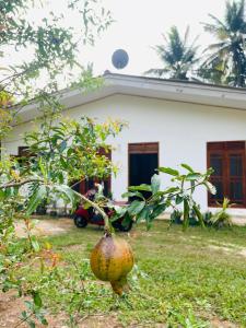 Gallery image of Green Pearl Villa in Midigama East