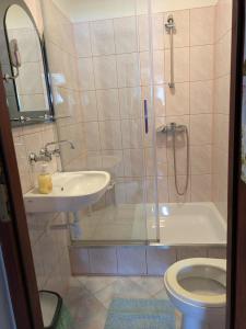 a bathroom with a shower and a sink and a toilet at Dom Wypoczynkowy U Kasi in Jurgów