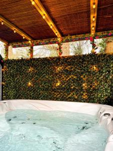 a jacuzzi in front of a green wall at Arawn 4 - Hot Tub - Dog friendly - Family in Almondbank