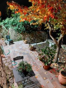 a patio with a table and chairs and a tree at La Dimora di Dida in Seggiano