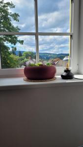 a window sill with a plant in front of it at Šumavská pohoda Zdíkovec 21 in Zdíkov